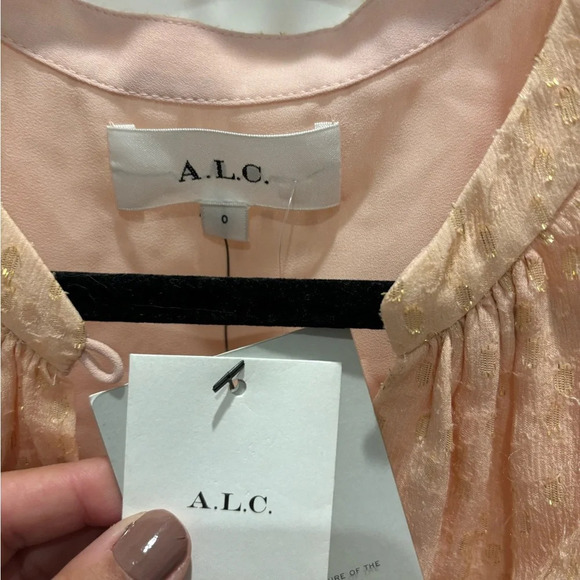 NWT A.L.C. Sidney Silk Dress in Pale Pink and Metallic Gold 0 - Picture 4 of 5